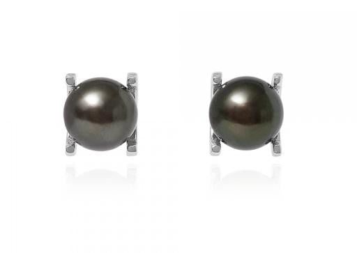 Freshwater Cultured Pink Pearl Claw Set Stud Earrings - Pobjoy Diamonds