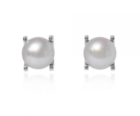 Freshwater Cultured Pearl Claw Set Stud Earrings - Pobjoy Diamonds