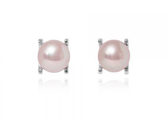 Freshwater Cultured Pearl Claw Set Stud Earrings - Pobjoy Diamonds